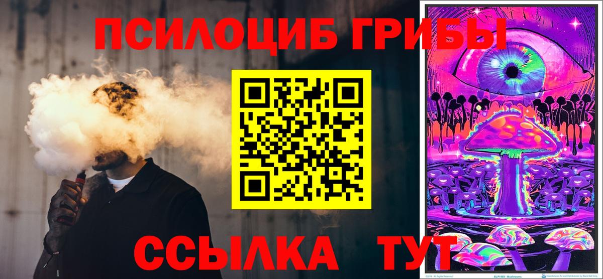 Псилоцибиновые грибы Cubensis Алексеевка