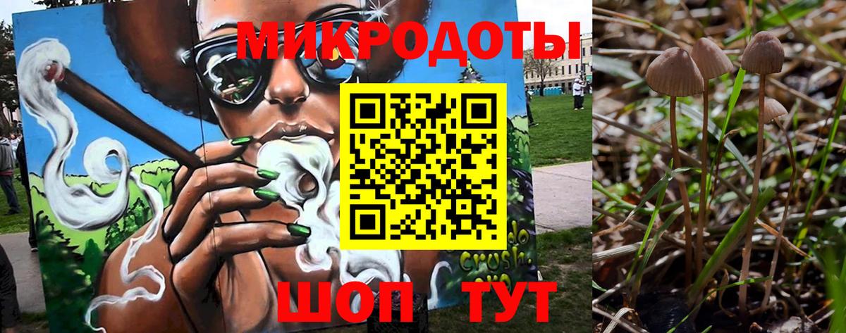 Алексеевка  Псилоцибиновые грибы Psilocybine cubensis  Вход с VPN  даркнет сайт  Псилоцибиновые грибы GOLDEN TEACHER 